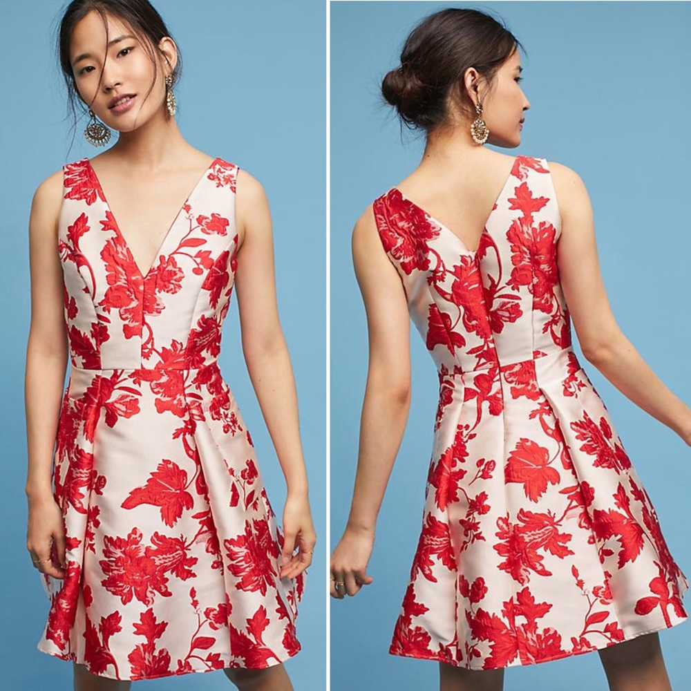 Anthropologie Eva Franco Rose Relief Dress 12 NWT